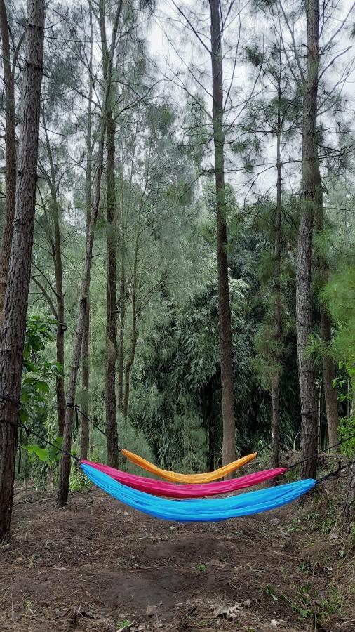 Bromo Dormitory & Cabin Экстерьер фото