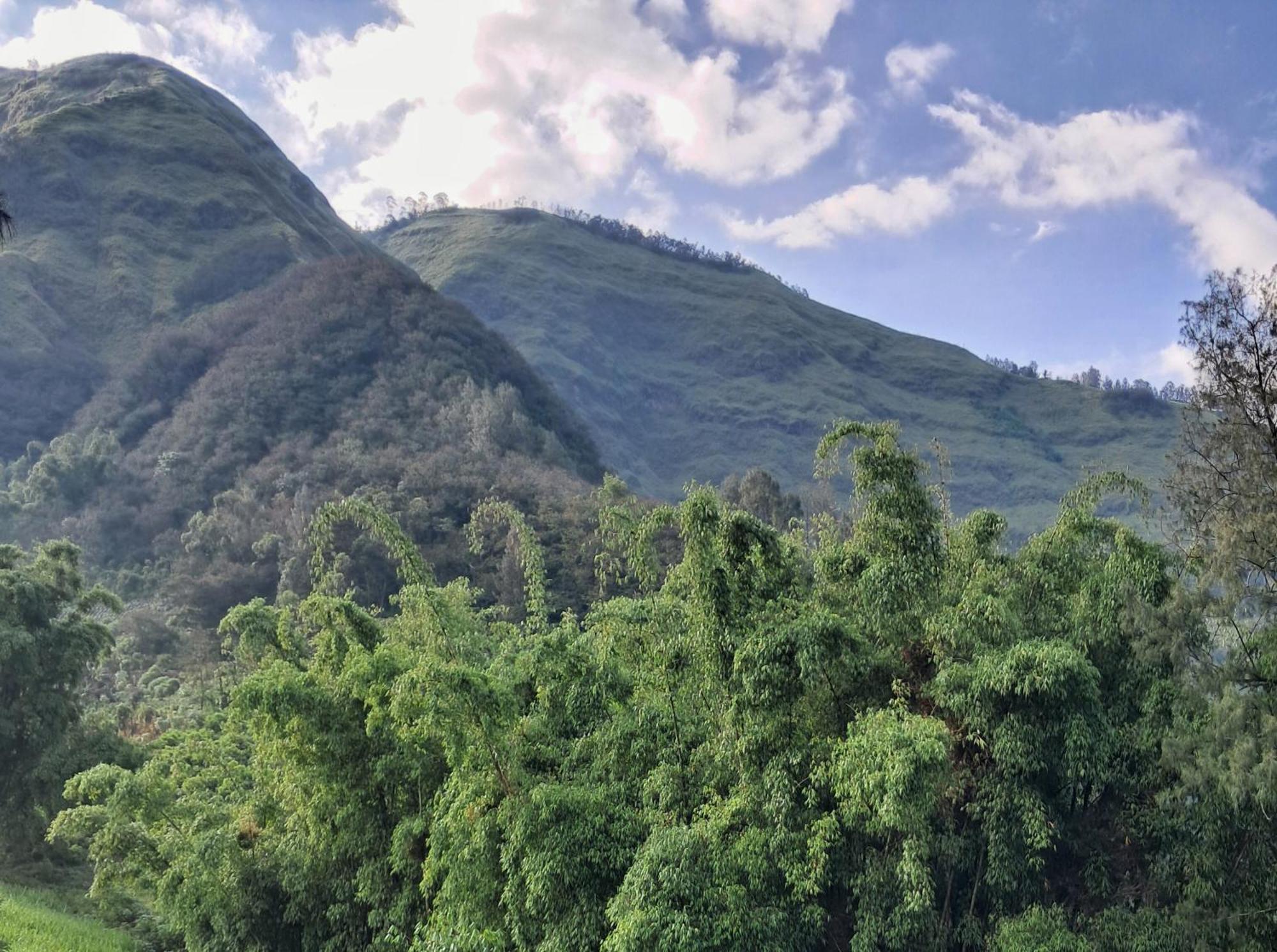 Bromo Dormitory & Cabin Экстерьер фото
